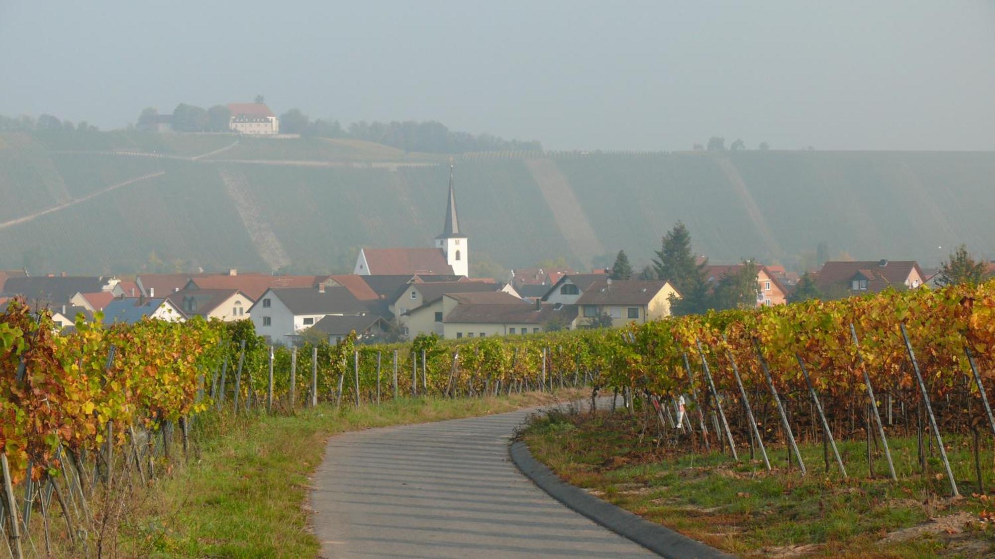 Weingut Herbert Kram Nordheim am Main Екстериор снимка